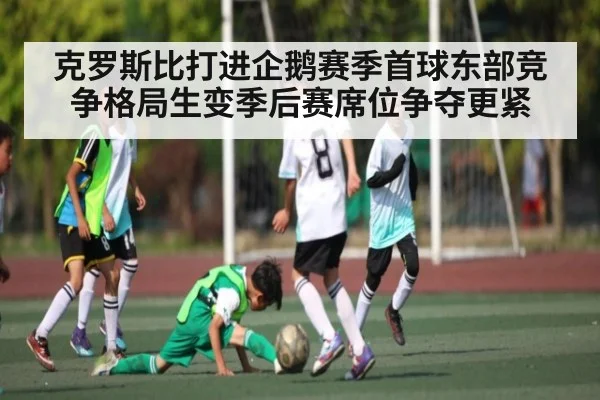 克罗斯比打进企鹅赛季首球东部竞争格局生变季后赛席位争夺更紧